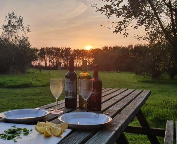 Mill Haven Place Glamping-Yurt 2 Haverfordwest Exteriér fotografie