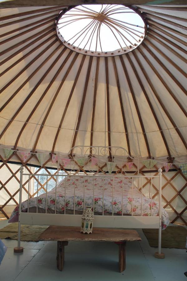 Mill Haven Place Glamping-Yurt 2 Haverfordwest Exteriér fotografie