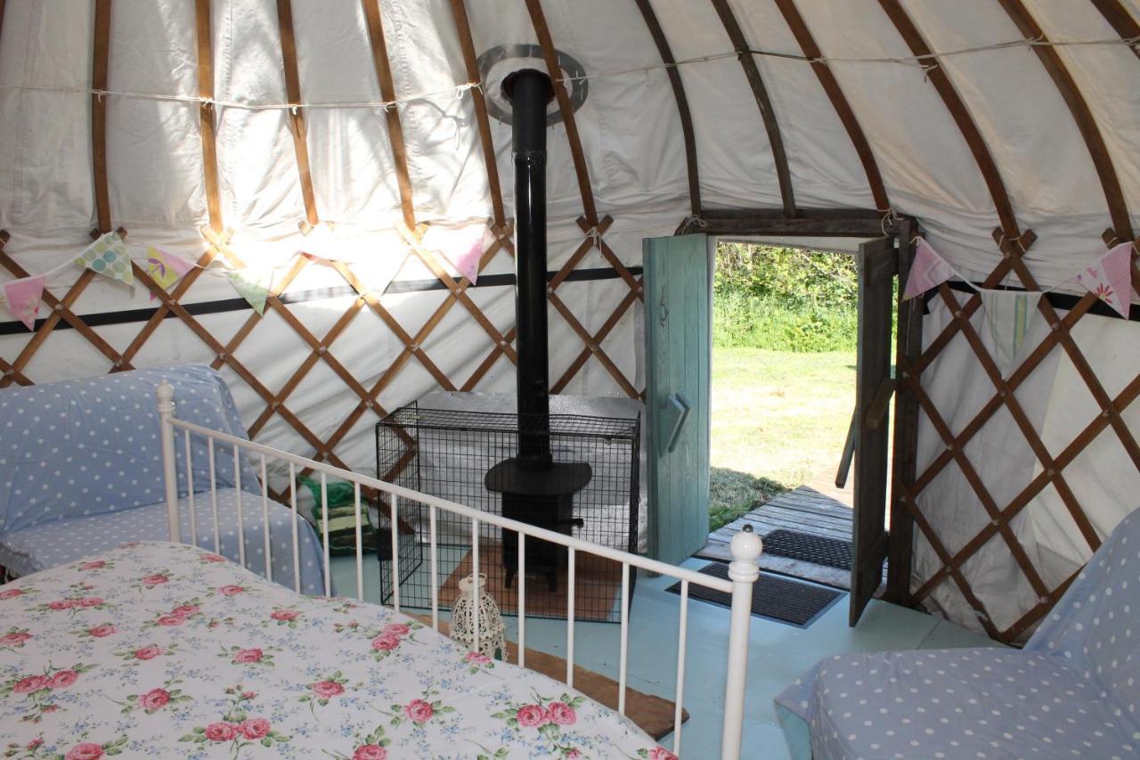 Mill Haven Place Glamping-Yurt 2 Haverfordwest Exteriér fotografie